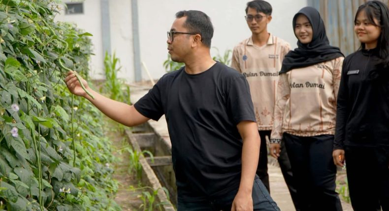 foto slider headline