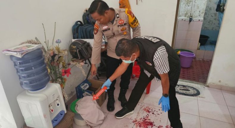 foto slider headline