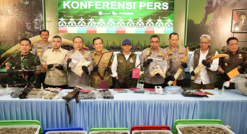 foto slider headline