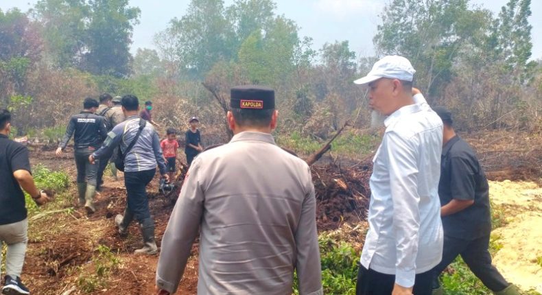 foto slider headline