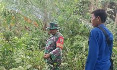 berita-pilihan-foto