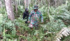 berita-pilihan-foto