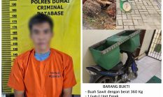 berita-pilihan-foto