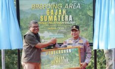 berita-pilihan-foto