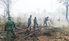 berita-pilihan-foto