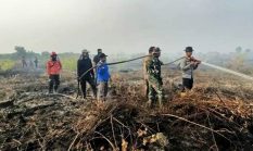 berita-pilihan-foto