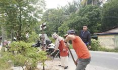 berita-pilihan-foto