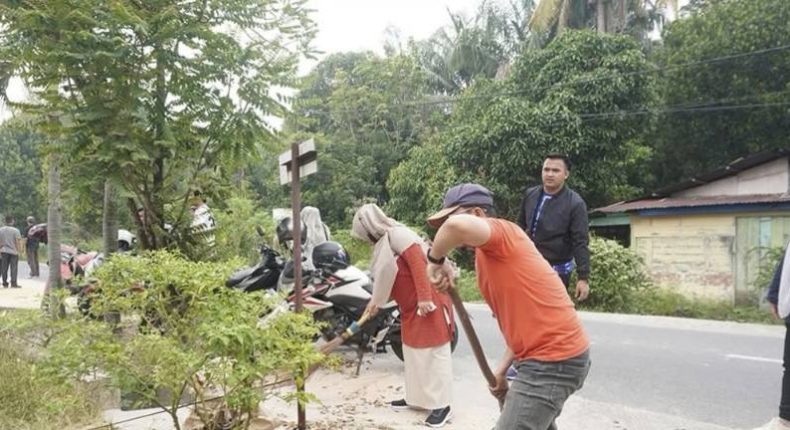 foto slider headline